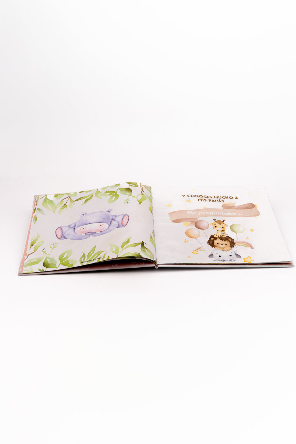 Mi libro de petición Tía