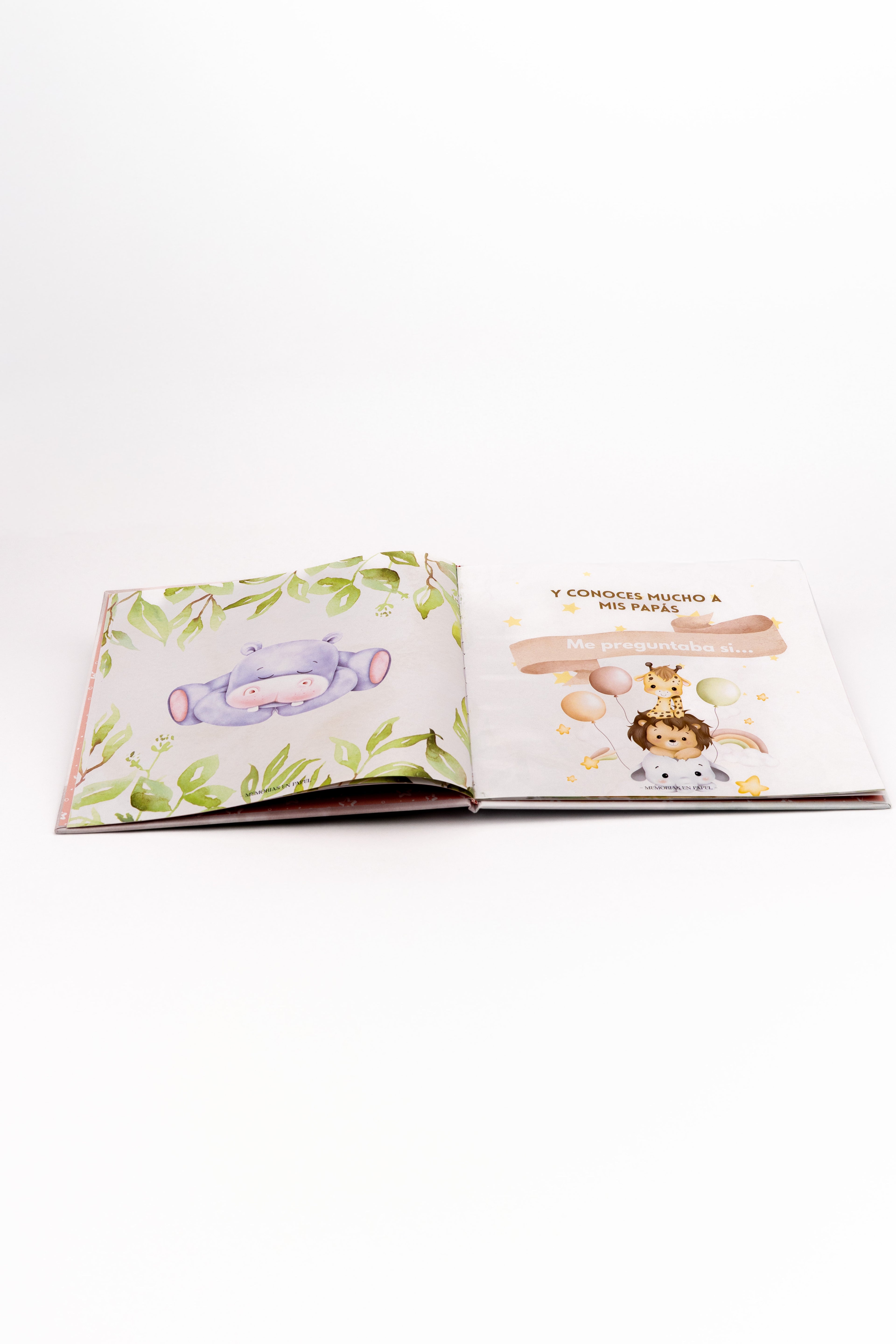 Mi libro de petición