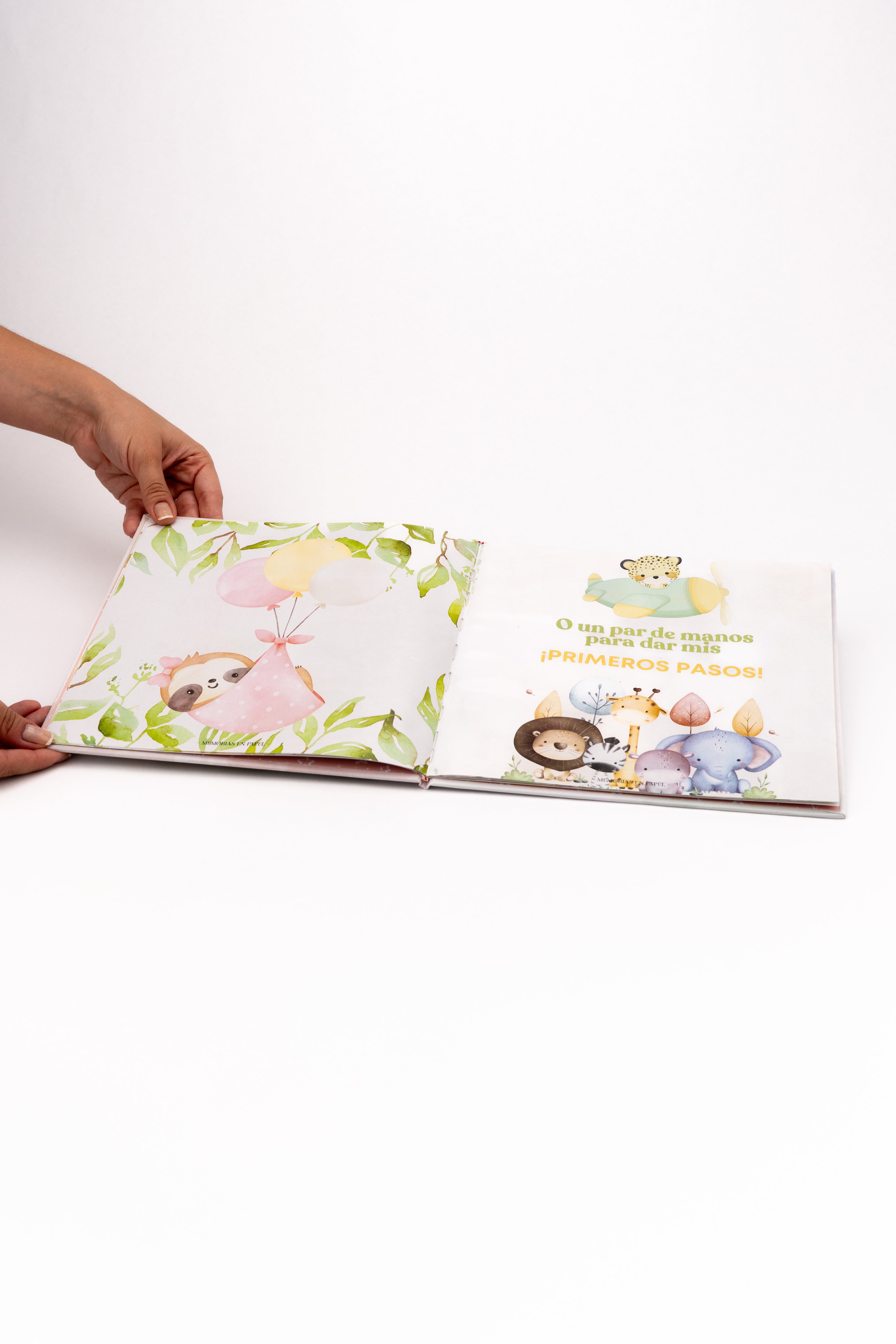 Mi libro de petición