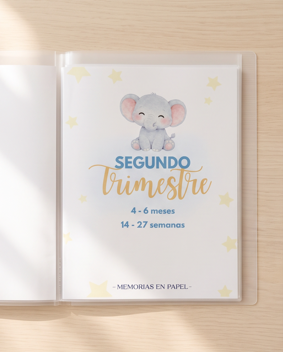 Carpetas prenatales