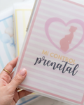 Carpetas prenatales